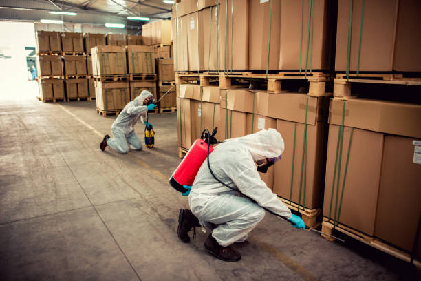 Best Termite Control Services  in Bernardsville, NJ
