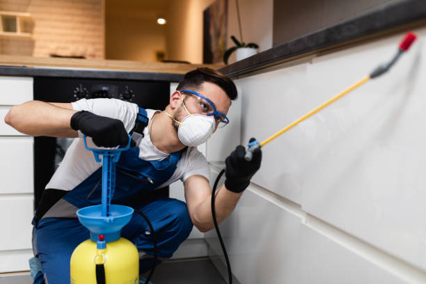 Best Cockroach Control Services  in Bernardsville, NJ