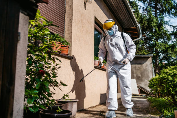 Best Bird Control  in Bernardsville, NJ