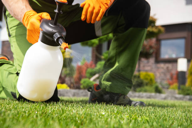 Best Exterminator Services  in Bernardsville, NJ