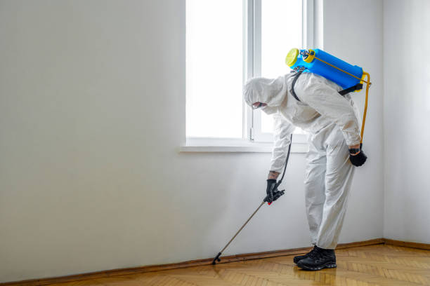 Best Commercial Pest Control Services  in Bernardsville, NJ