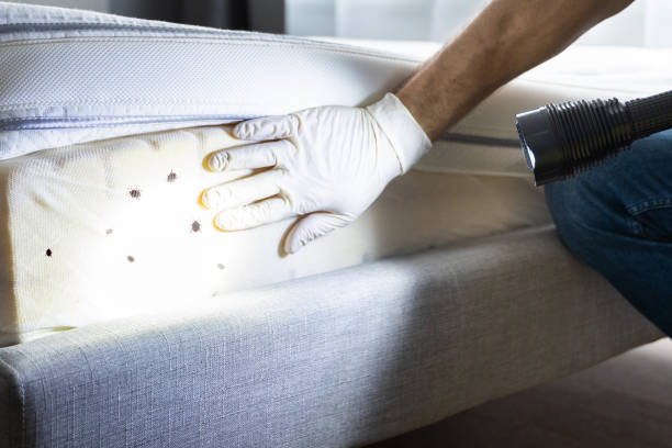 Best Exterminator Services  in Bernardsville, NJ
