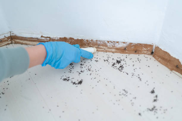 Best Best Pest Control Companies  in Bernardsville, NJ
